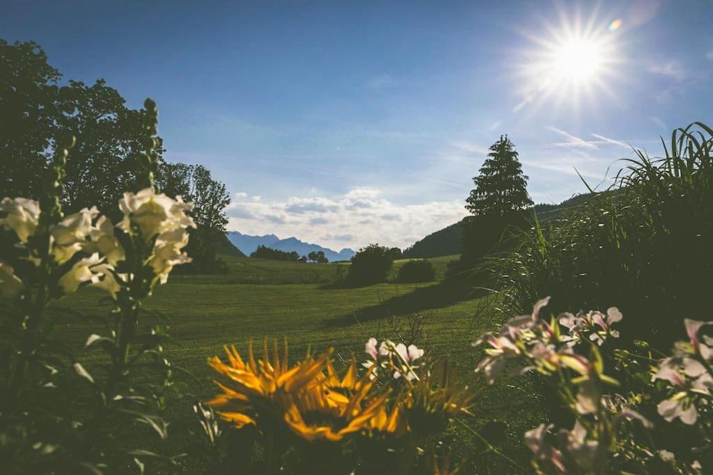 Fritzis Alpenidyll „Sommertraum & Winterromantik” Samerberg Exteriör bild