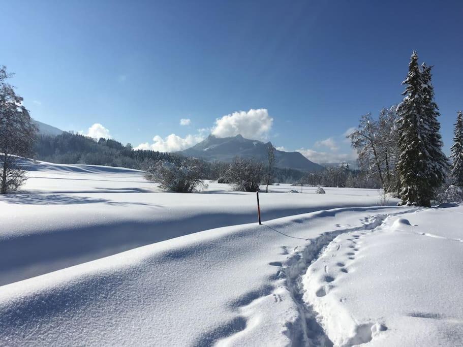 Fritzis Alpenidyll „Sommertraum & Winterromantik” Samerberg Exteriör bild